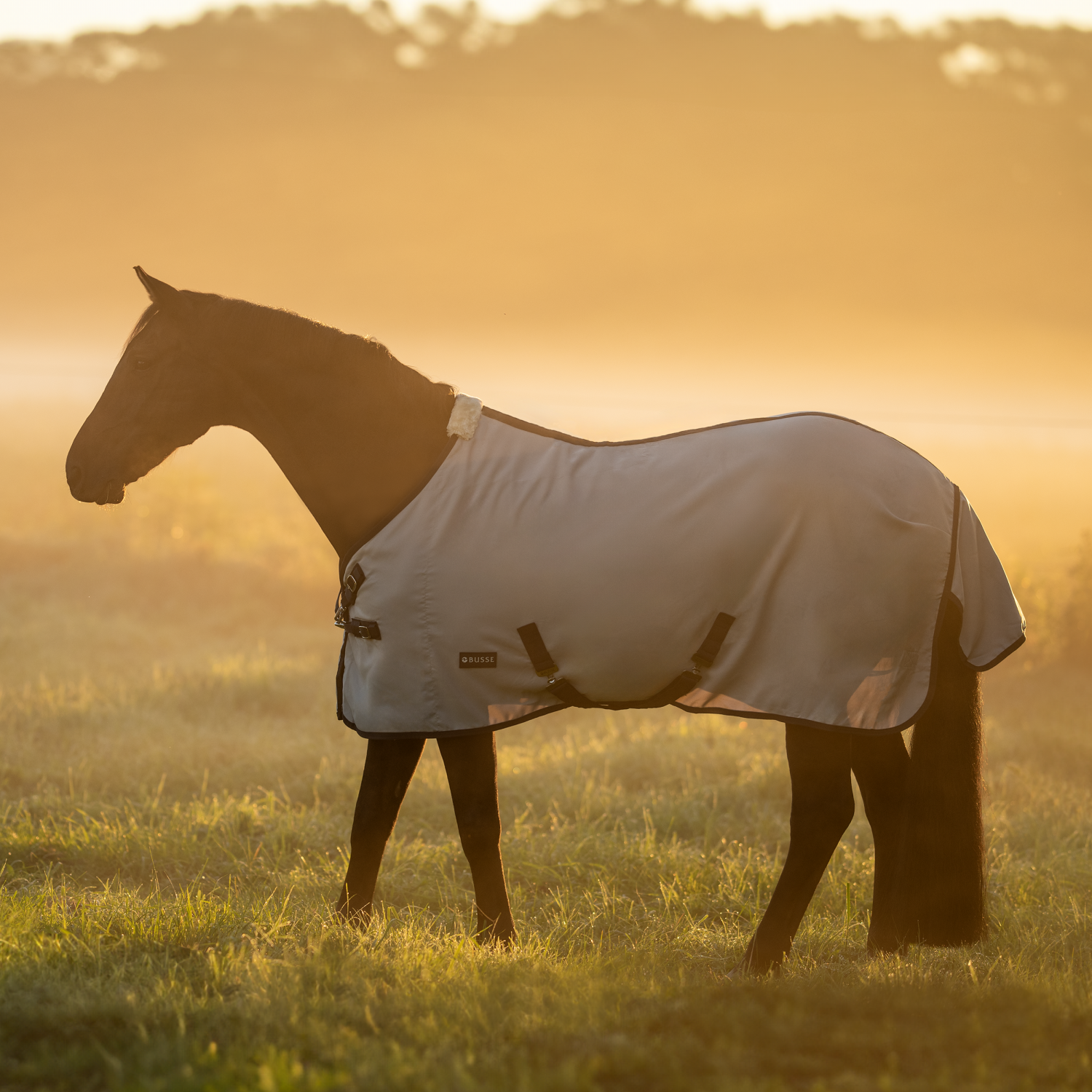 BUSSE Sommerdecke EARLY SEASON