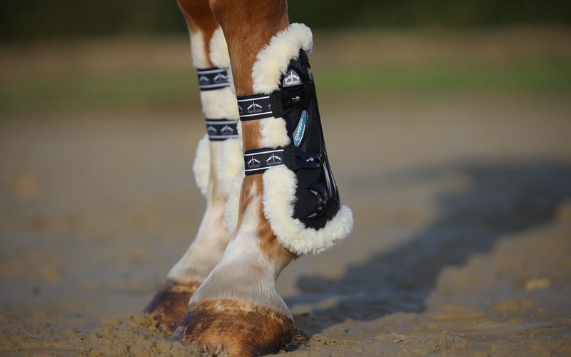 Veredus Gamasche am Pferdebein