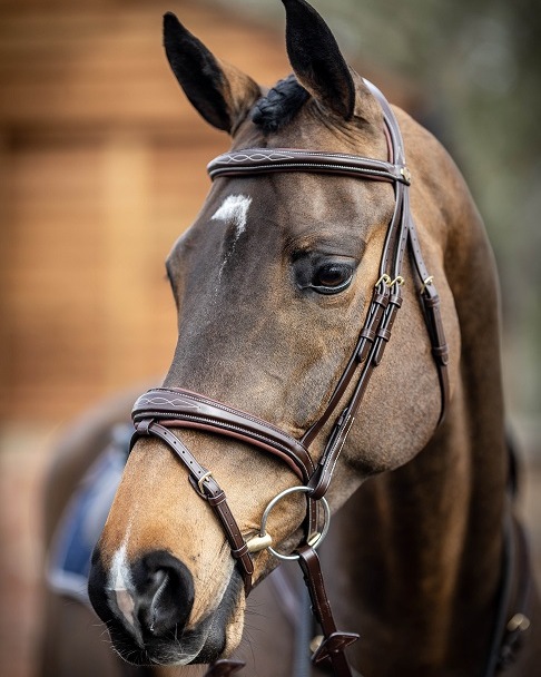 Trense Competition Flash Bridle