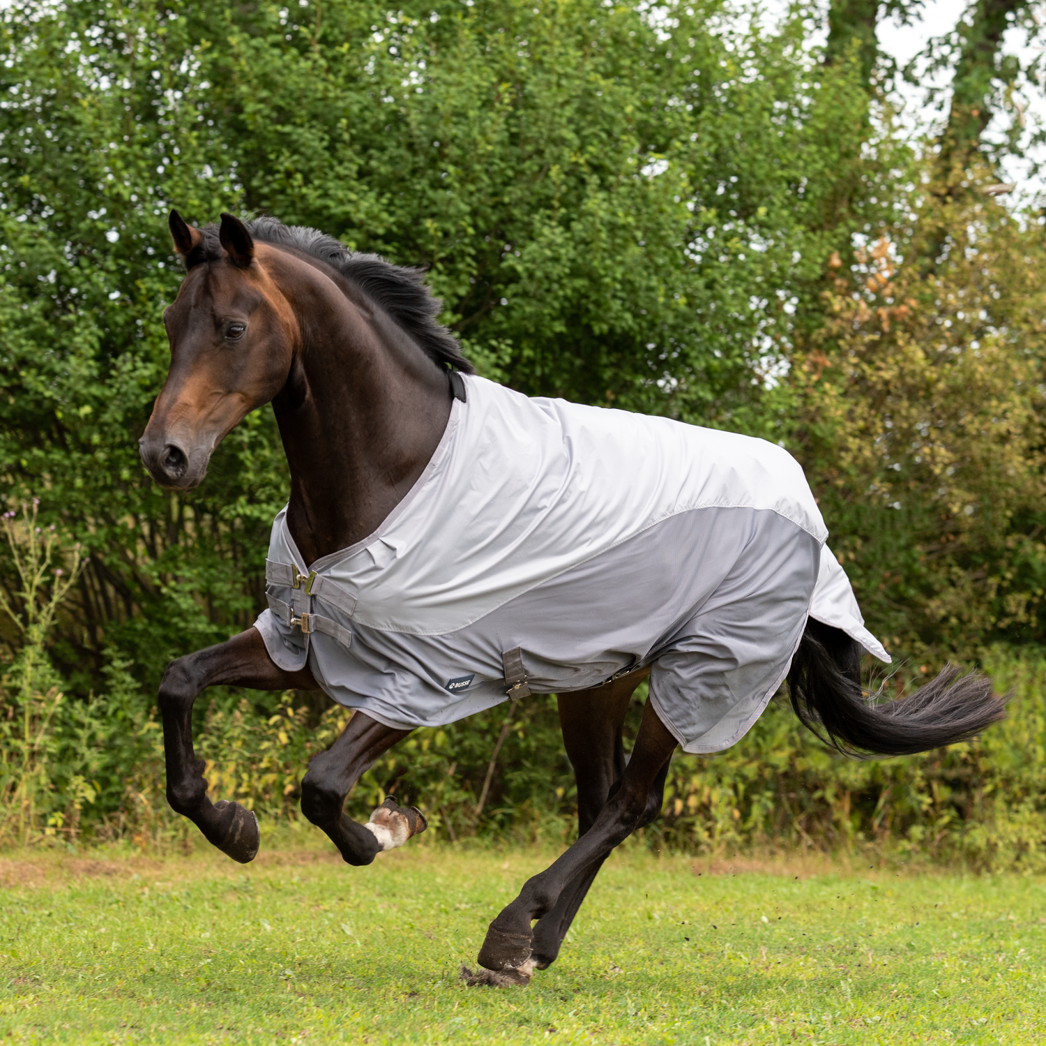 BUSSE Outdoordecke RAINFLY