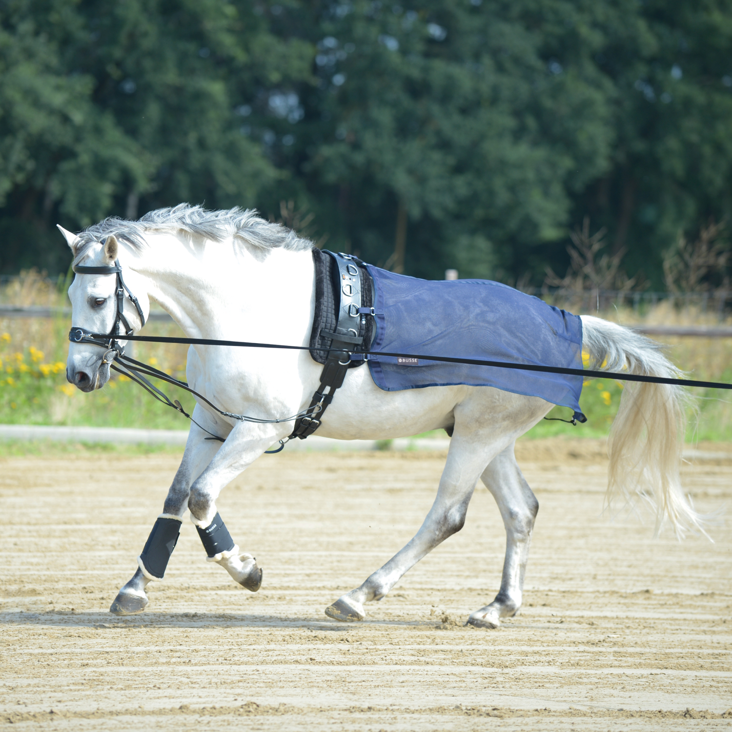 BUSSE Longierdecke FLY