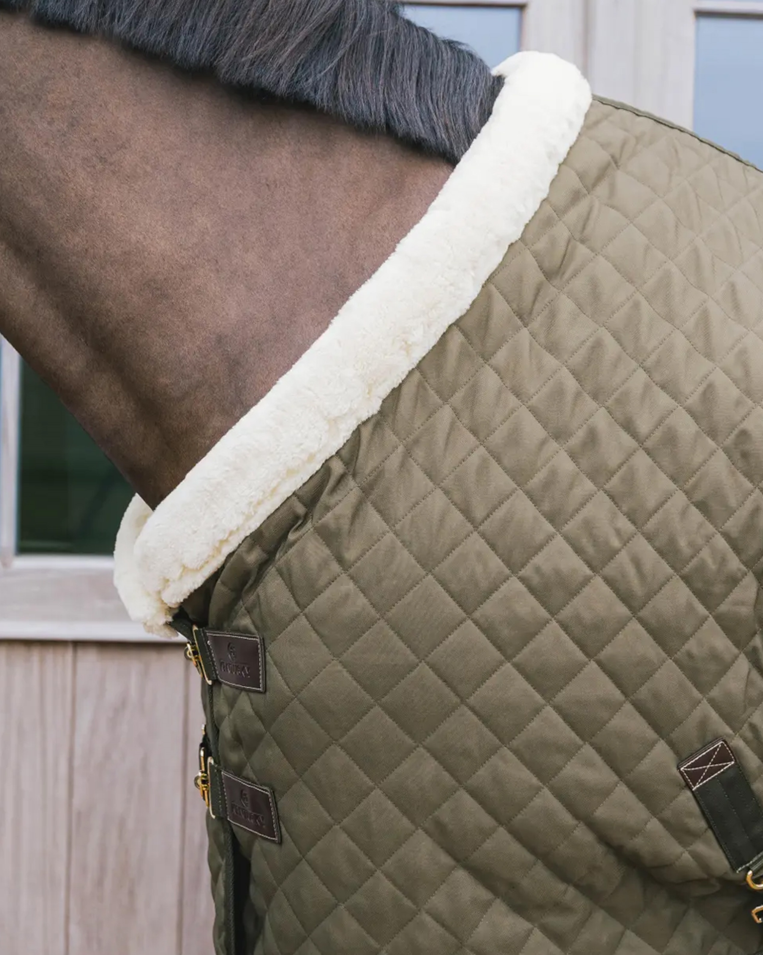 Turnierdecke 160g Showrug in khaki