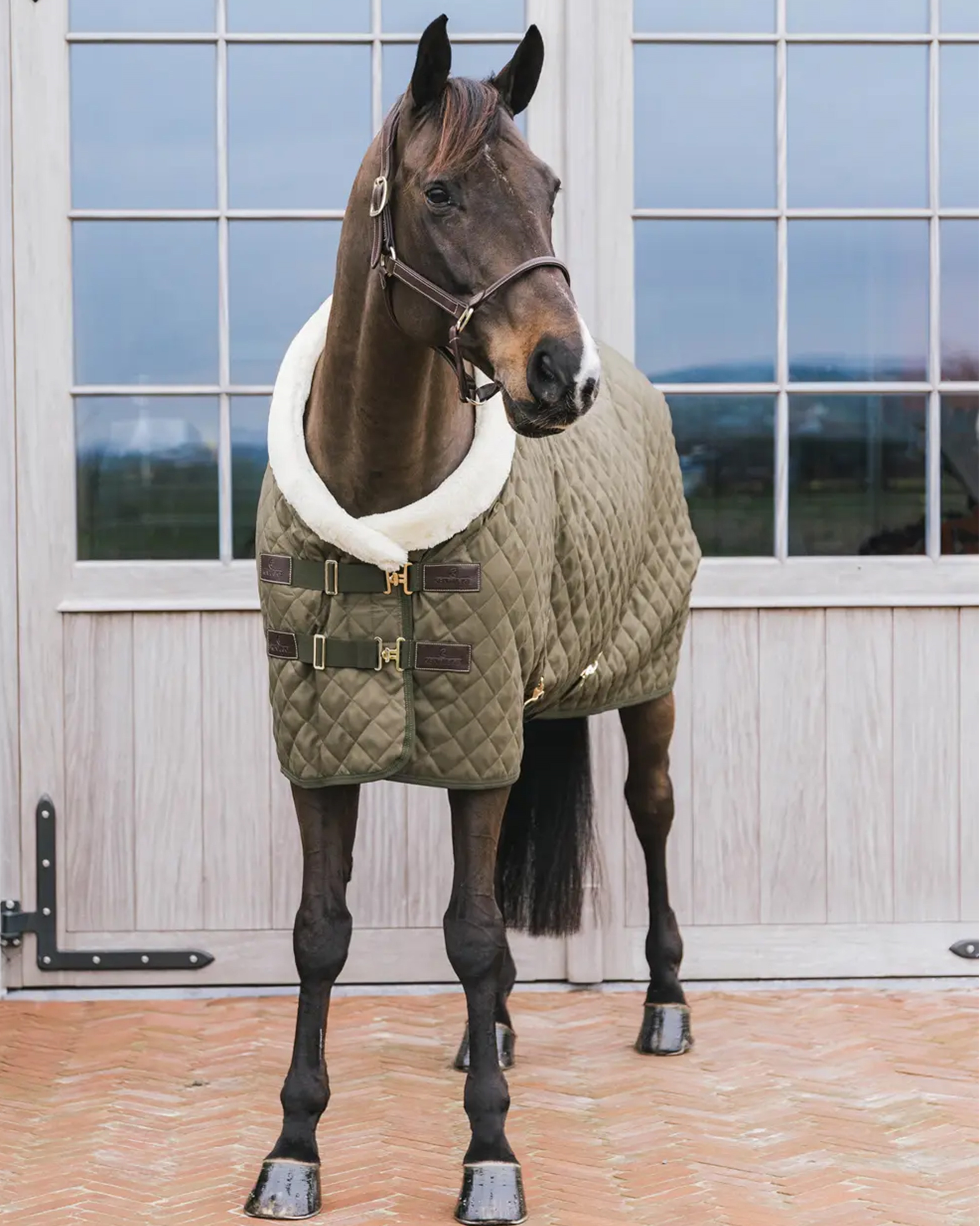 Turnierdecke 160g Showrug in khaki