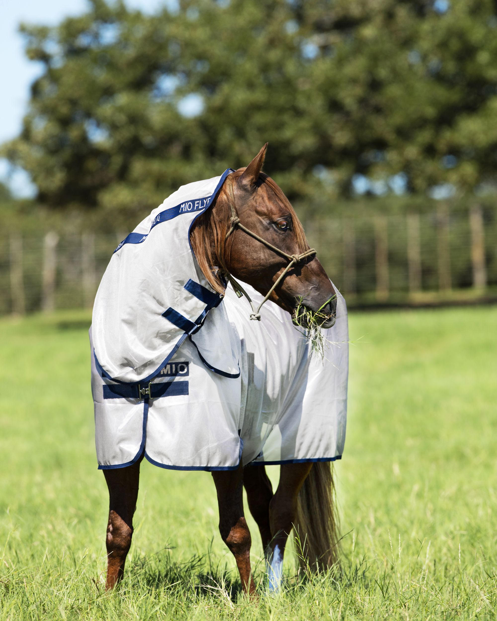 Fliegendecke Mio Fly Rug  in lunar Rock/navy