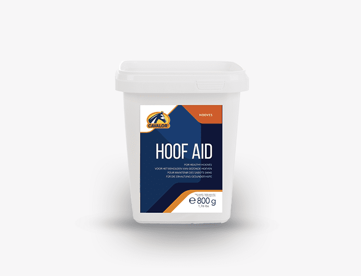 Ergänzungsfuttermittel Hoof aid basic 800 g