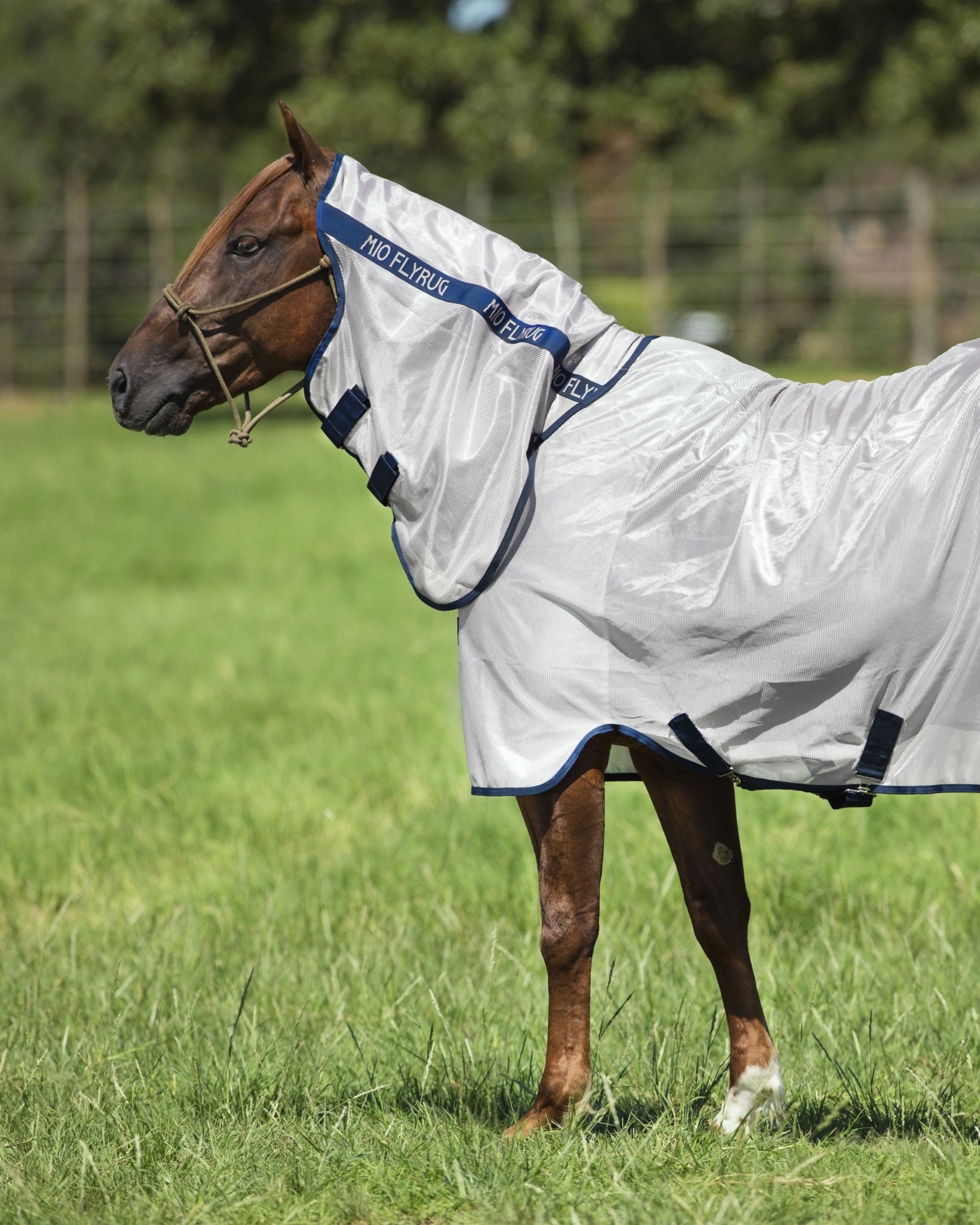 Fliegendecke Mio Fly Rug  in lunar Rock/navy