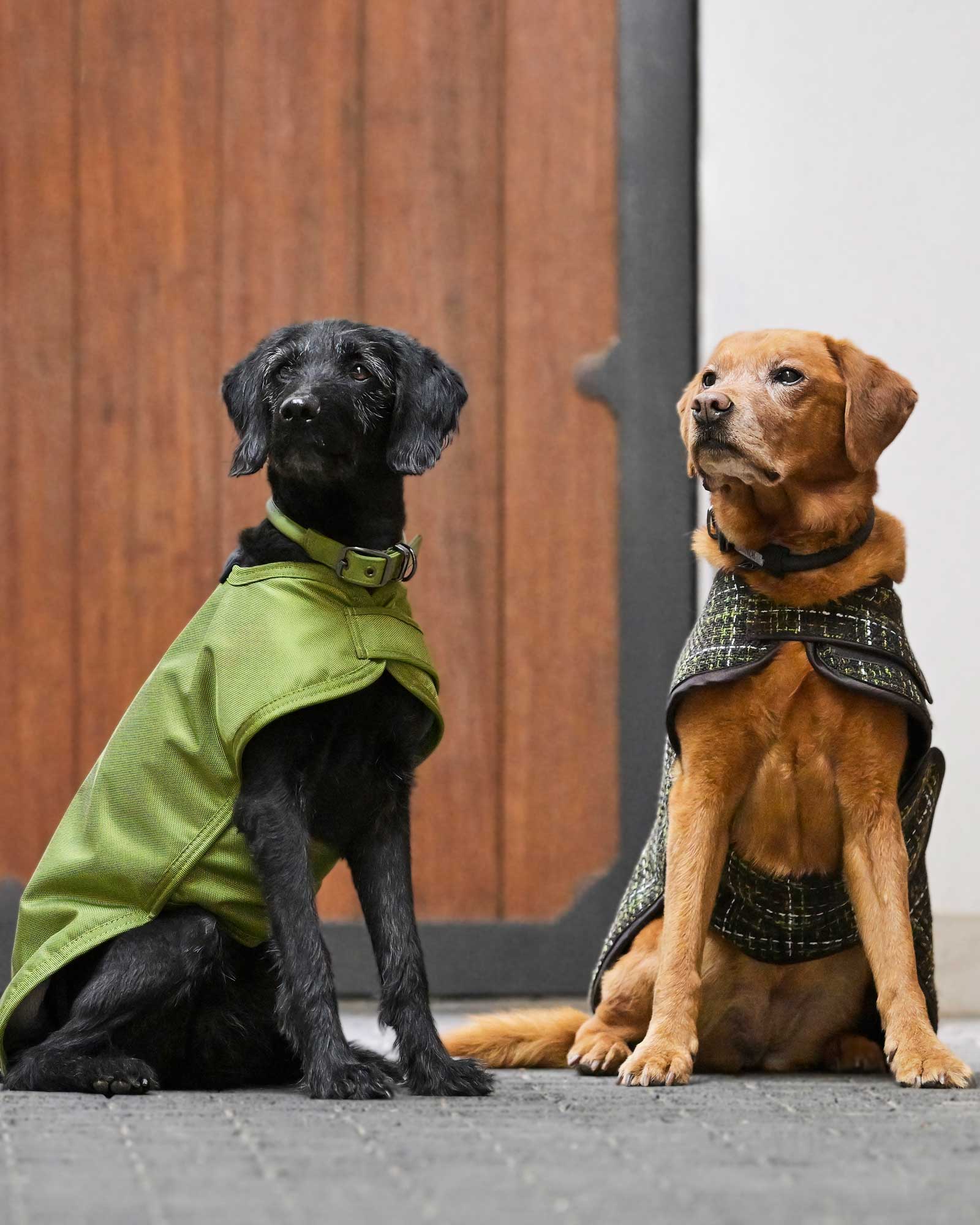 Hundemantel Bouclé Platinum in teak brown