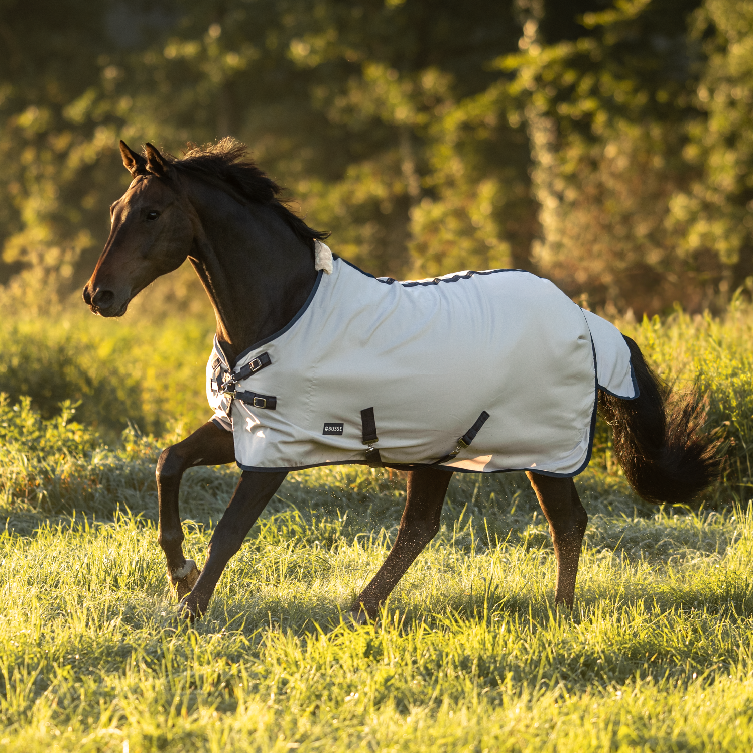 BUSSE Sommerdecke EARLY SEASON