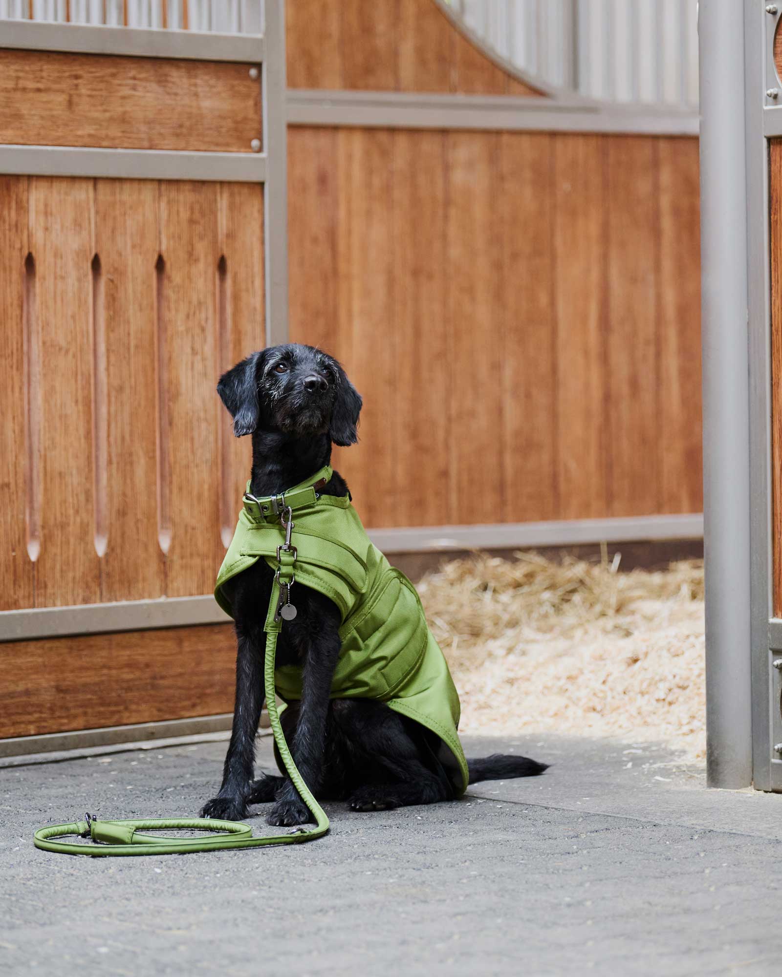 Hundemantel Teddyfleece Platinum in moss green