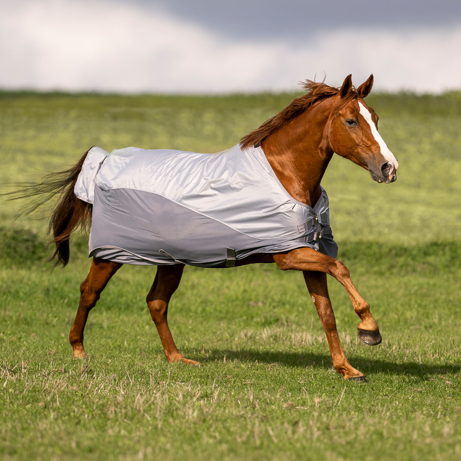 BUSSE Outdoordecke RAINFLY