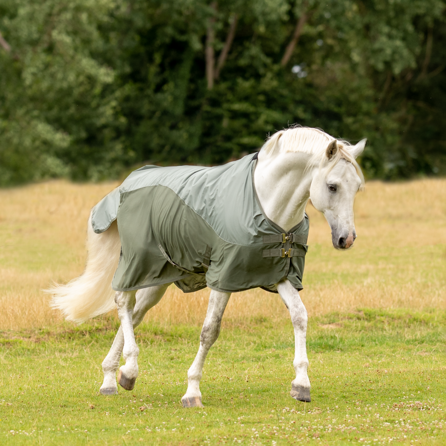 BUSSE Outdoordecke RAINFLY