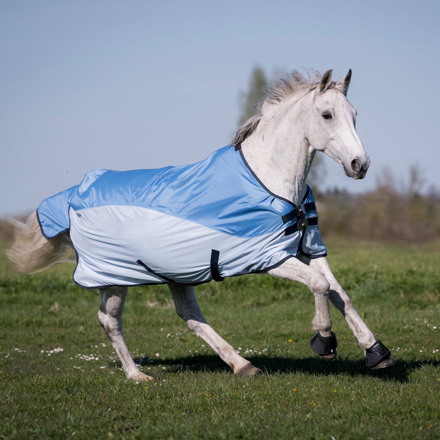 BUSSE Outdoordecke RAINFLY