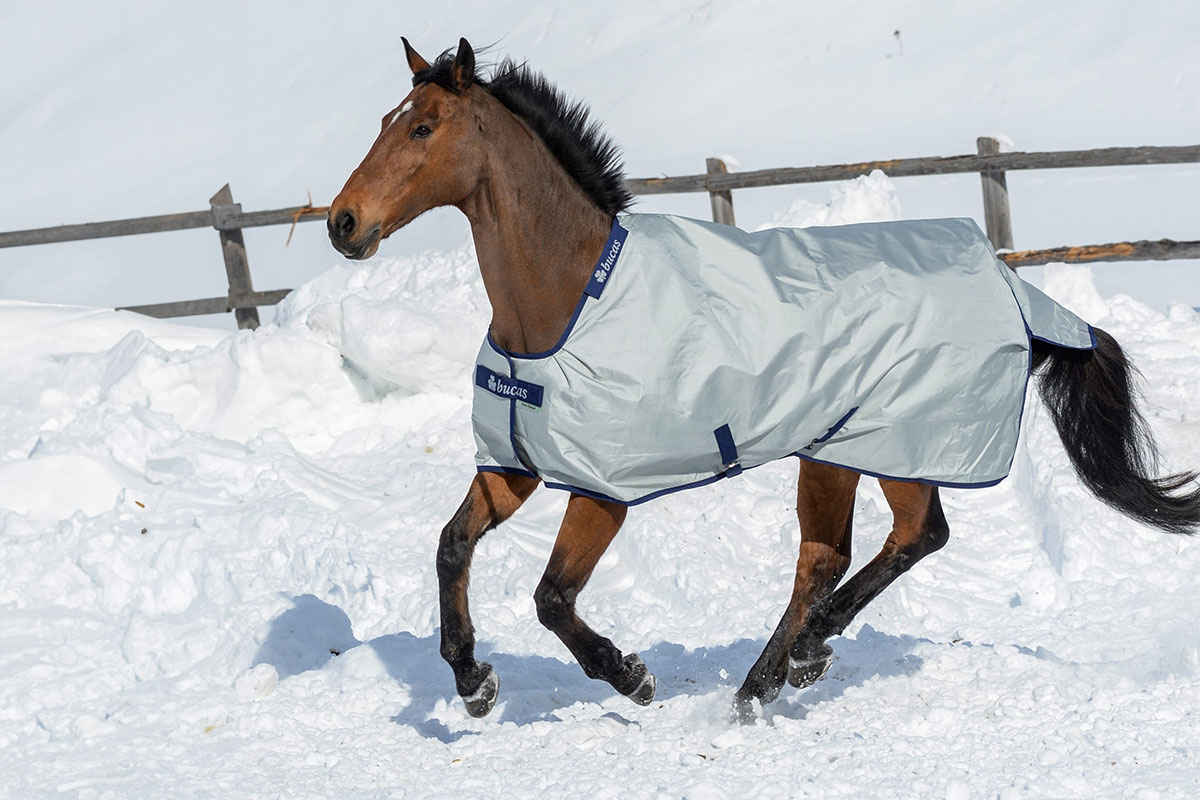 Pferd mit Bucas Power Turnout im Schnee