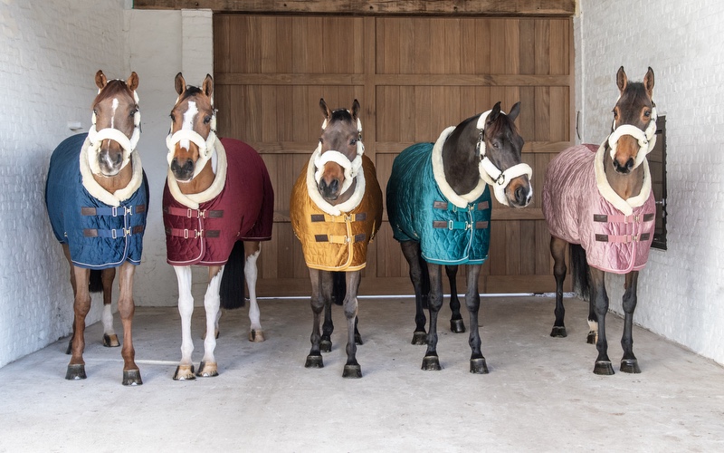 Kentucky Horsewear Show Rug Velvet