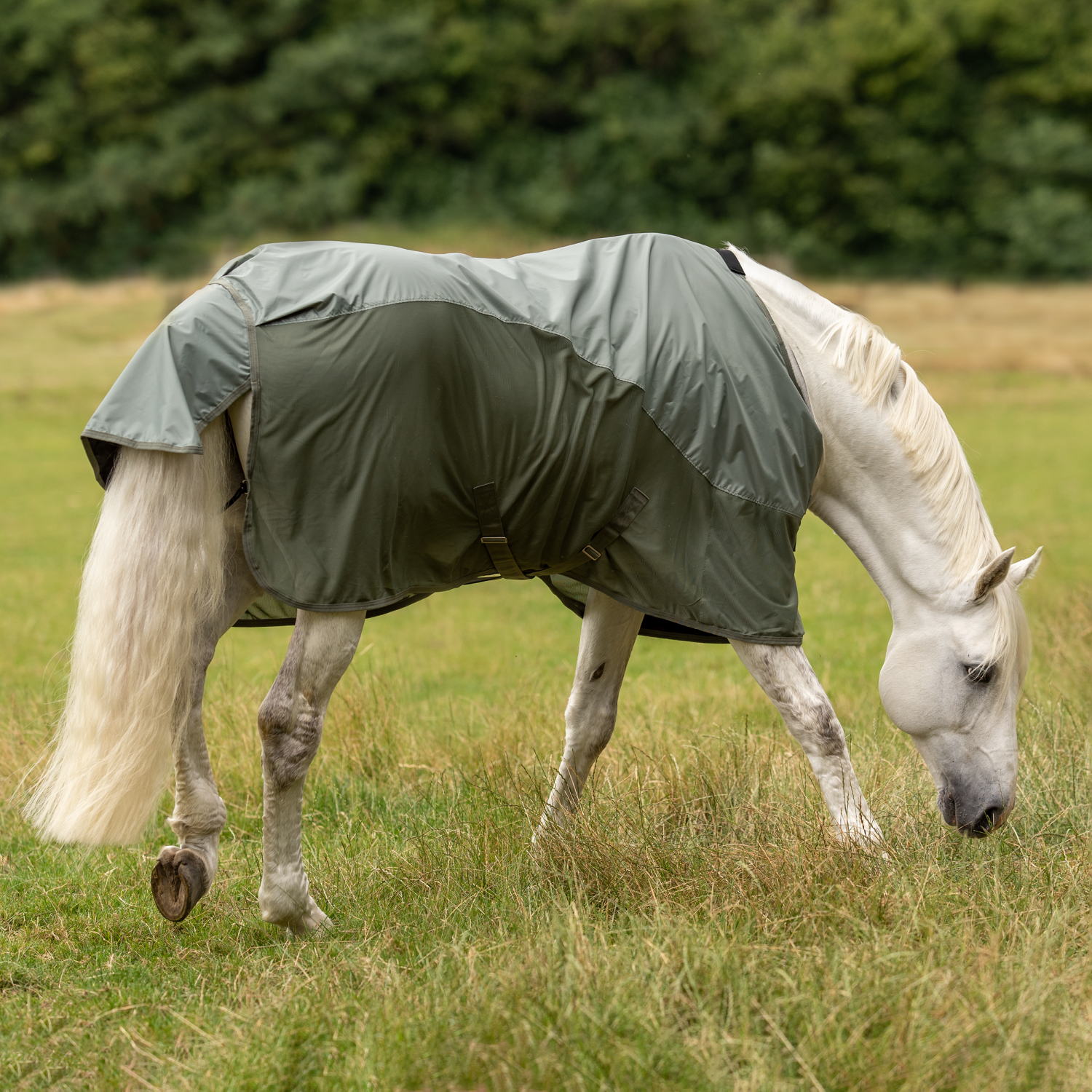 BUSSE Outdoordecke RAINFLY