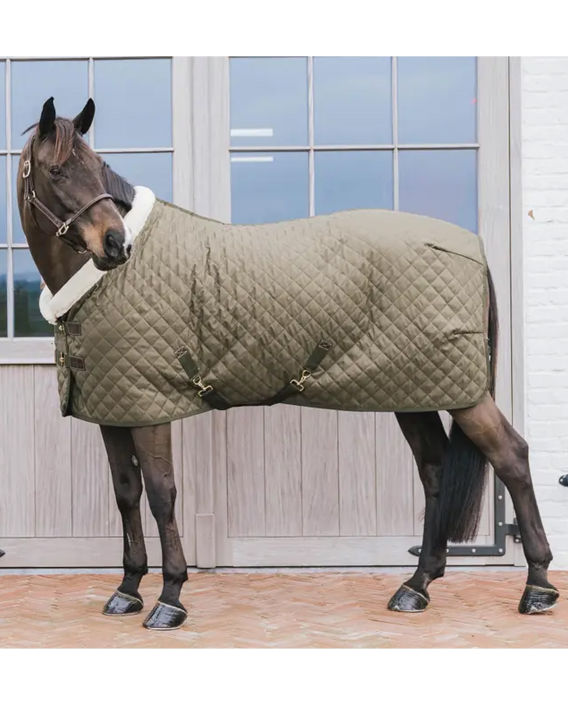 Turnierdecke 160g Showrug in khaki