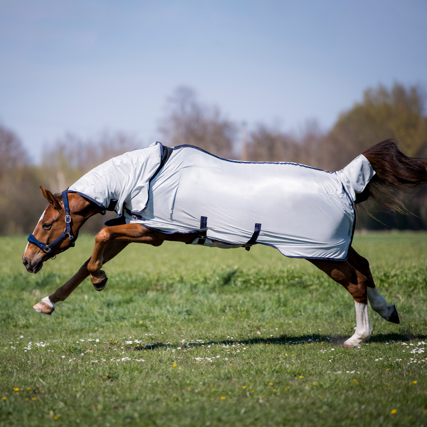 BUSSE Outdoor-Fliegendecke SUPERB