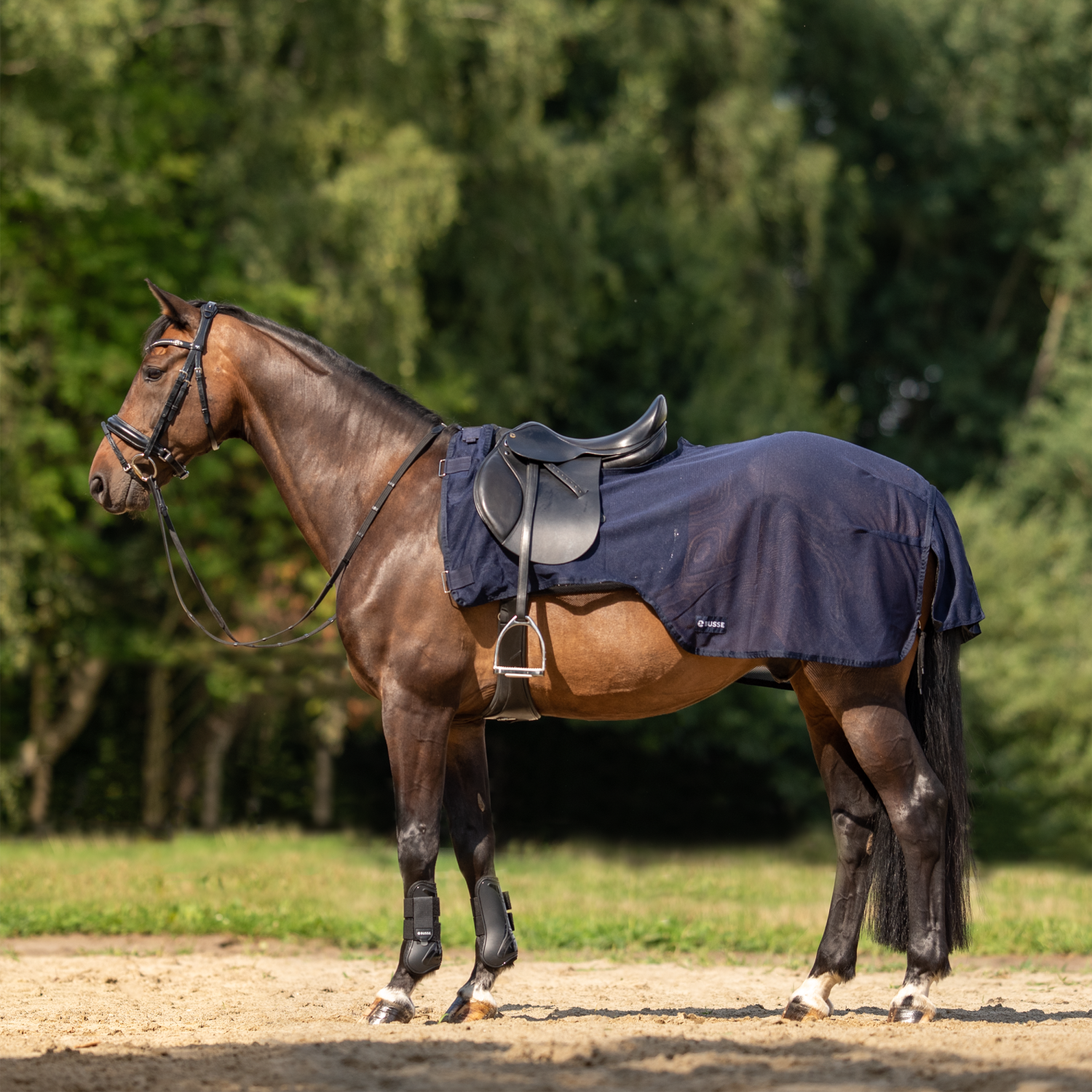 BUSSE Ausreitdecke FLEXI FLY III